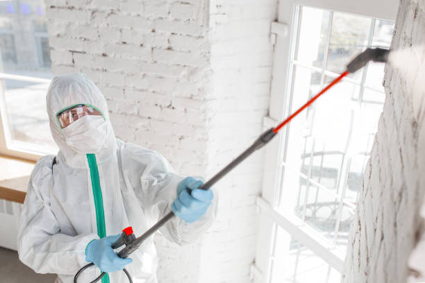 Fortuna Foothills, AZ Mold Removal Company