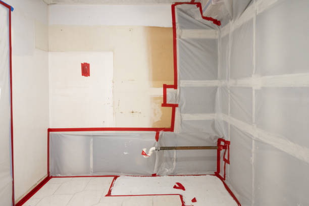 Best Real Estate Mold Inspection  in Fortuna Foothills, AZ